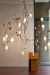 Nilufar Gallery, design 13