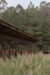 Hípico San Ramón, design 15