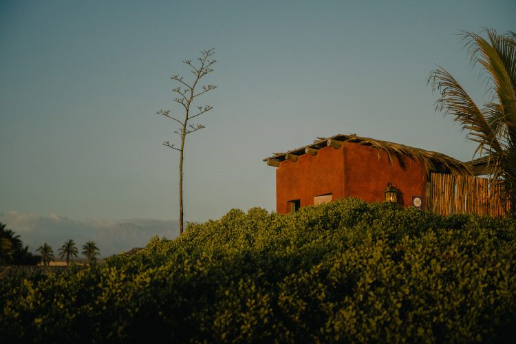 Dias de verano, design 214