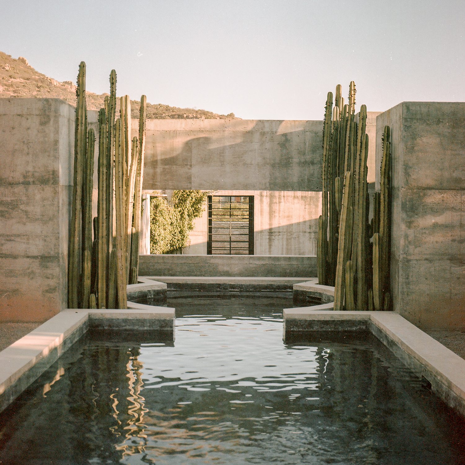 Casa Bernal, design 1