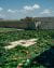 Brion Tomb, architecture 12