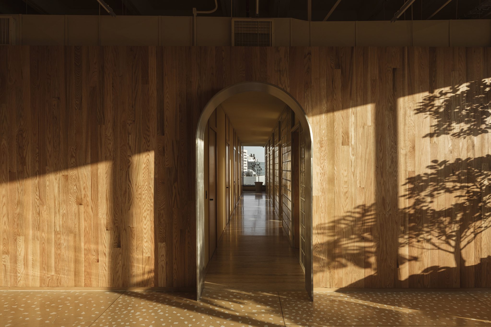 Plutarco Studio, design 20