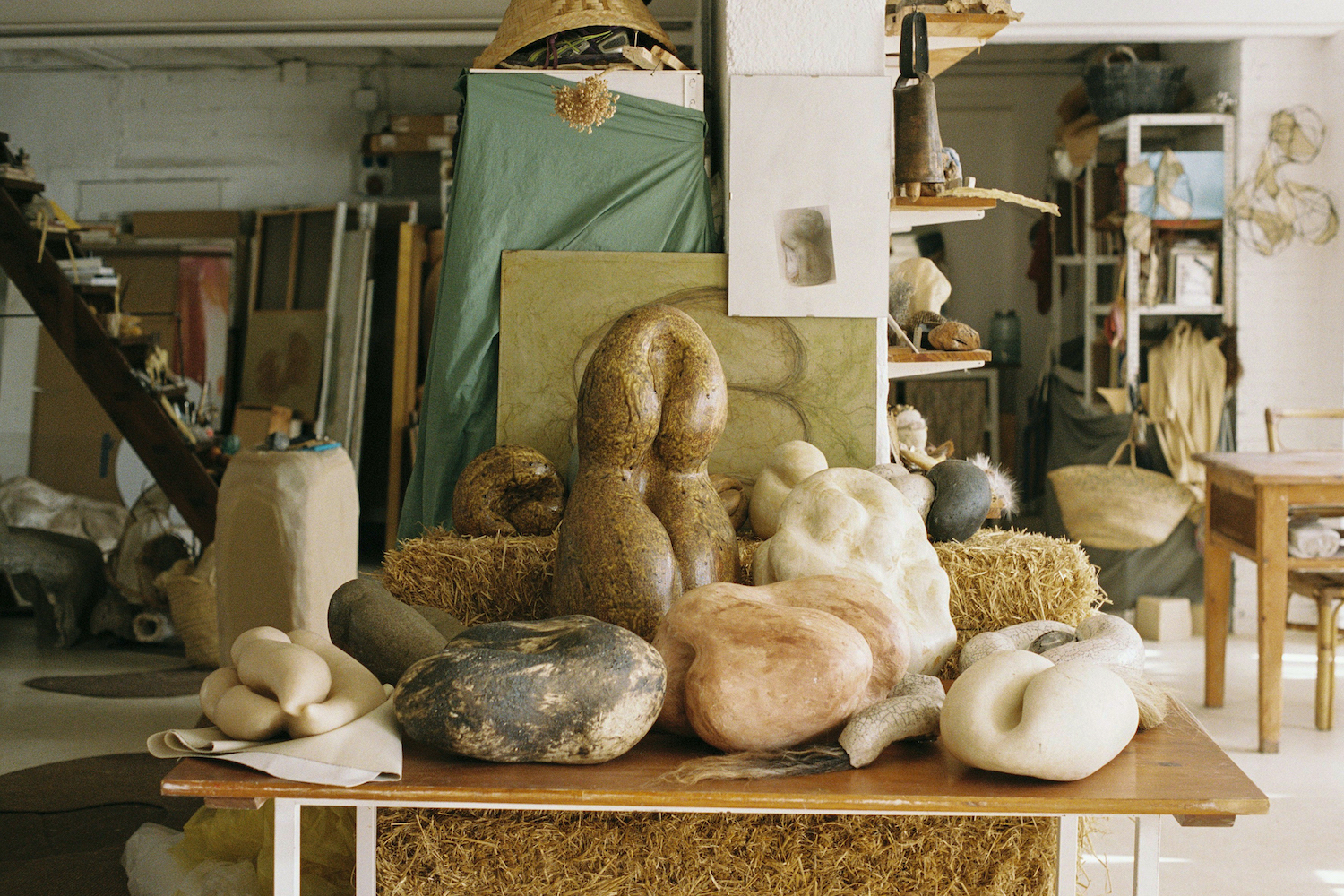 Berta, art 6